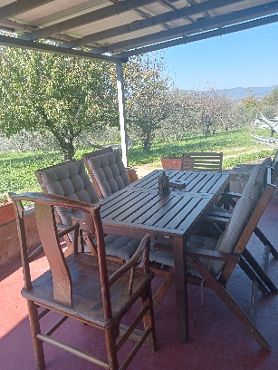 IMG20241101113131